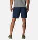 Шорты мужские Columbia Washed Out Printed Short (1990781CLB-466) 1990781CLB-466 фото 2