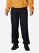 Брюки женские Columbia Brea Falls™ Nylon Pant (2086001CLB-010) 2086001CLB-010 фото 2