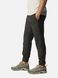 Брюки мужские Columbia Steens Mountain™ Pant (2054681CLB-010) 2054681CLB-010 фото 3