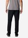 Брюки мужские Columbia Sage Peak™ Chino Pant (2095051CLB-010) 2095051CLB-010 фото 3